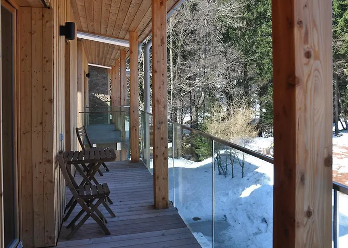Lägenhetshotell Medvedin